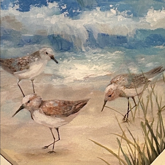 NEW! Coastal Beach Canvas Art with Seagulls Sea Birds - Picture 2 of 6